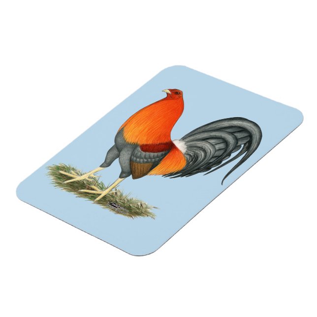 Magnet Flexible Gamecock Blue Red Roster (Côté Gauche)
