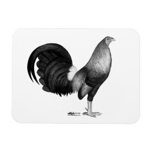 Magnet Flexible Gamecock Red Hatch