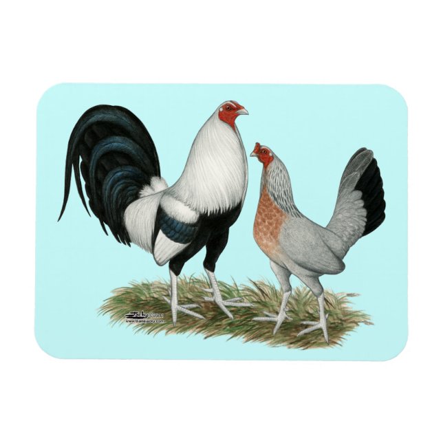 Magnet Flexible Gamefowl argenté (Horizontal)