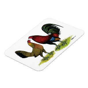 Magnet Flexible Gamefowl Pair