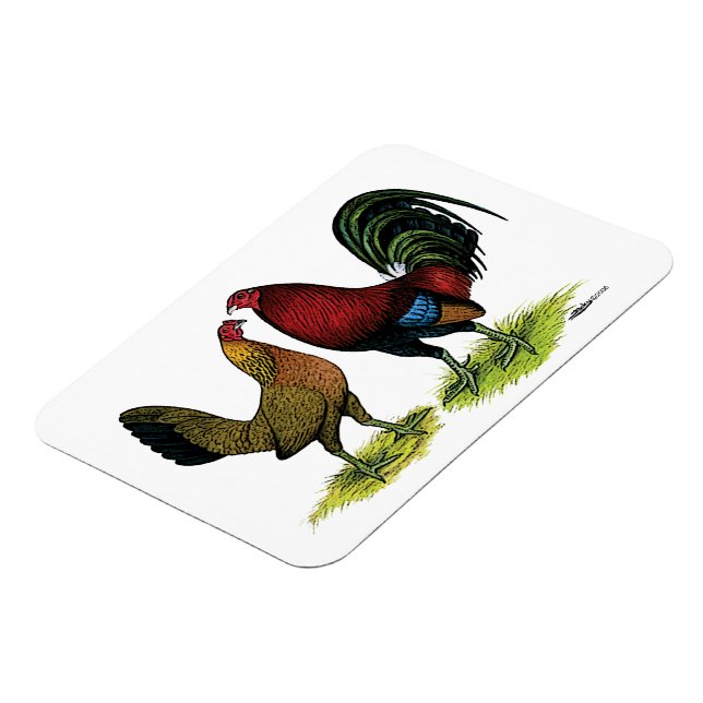 Magnet Flexible Gamefowl Pair (Côté Gauche)