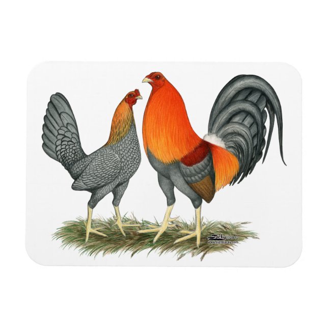 Magnet Flexible Gamefowl rouge bleu (Horizontal)