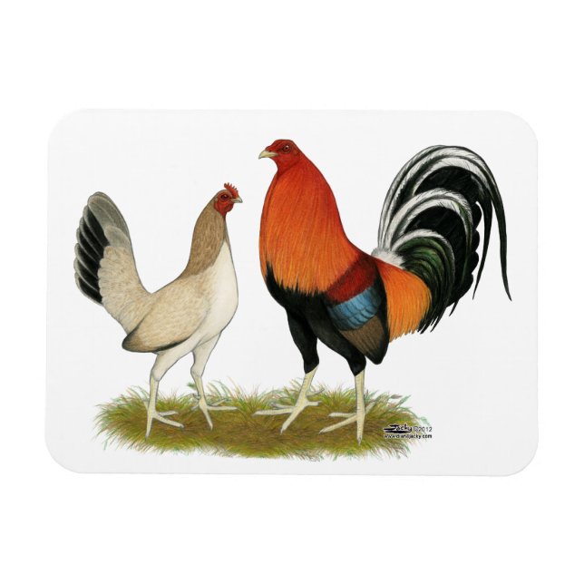 Magnet Flexible Gamefowl wheatens (Horizontal)