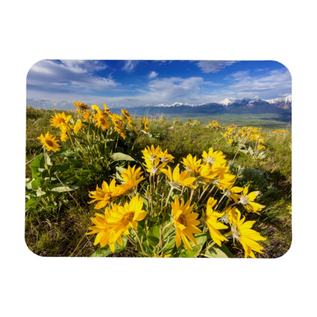 Magnet Flexible Gamme nationale de bisons (Horizontal)