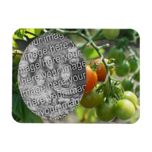 Magnet Flexible Garden Cherry Tomates Ajouter Votre Photo