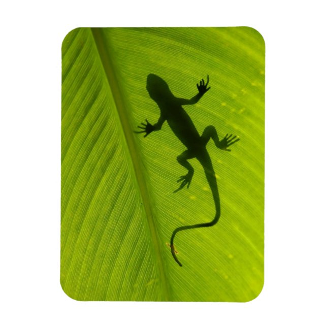 Magnet Flexible Gecko Silhouette (Vertical)