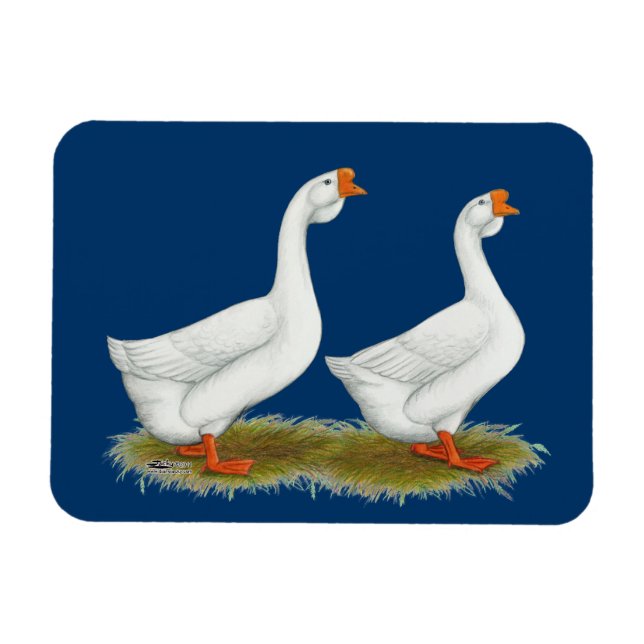 Magnet Flexible Geese de l'Afrique blanche (Horizontal)