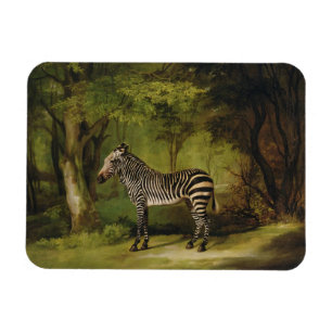 Magnet Flexible George Stubbs  A Zebra, 1763 (huile sur toile)