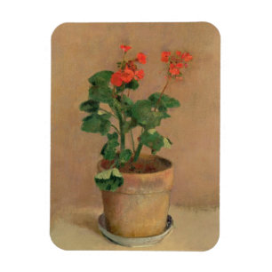 Magnet Flexible Geraniums dans un pot, c.1905 (huile sur toile)