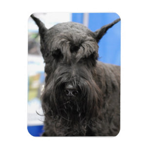 Magnet Flexible Giant Schnauzer