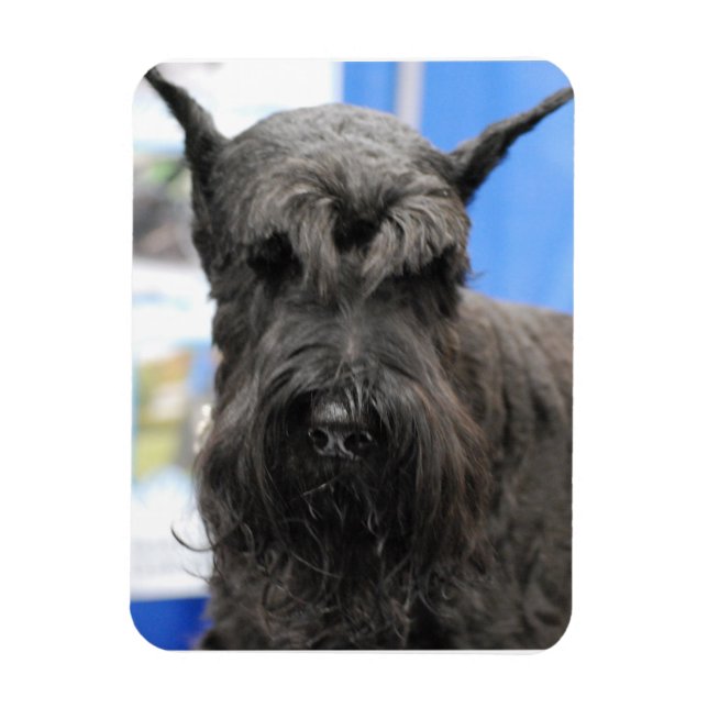 Magnet Flexible Giant Schnauzer (Vertical)