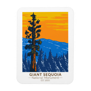 Magnet Flexible Giant Sequoia National Monument California Vintage