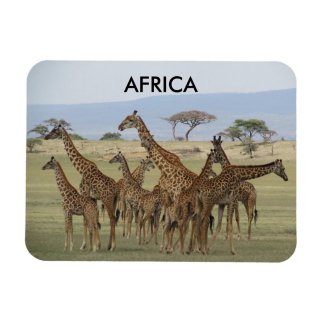 Magnet Flexible girafe afrique (Horizontal)