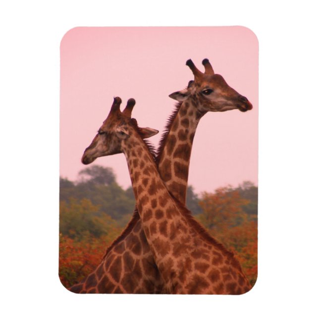Magnet Flexible Girafe au ciel rose (Vertical)