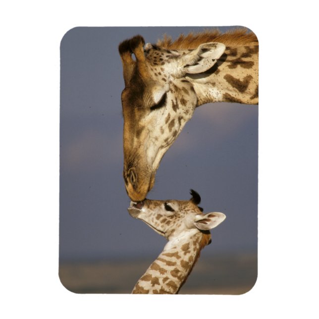 Magnet Flexible Girafe embrassant un bébé girafe (Vertical)