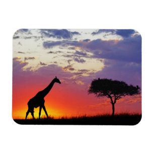 Magnet Flexible Girafe en silhouette au lever du soleil, Giraffa