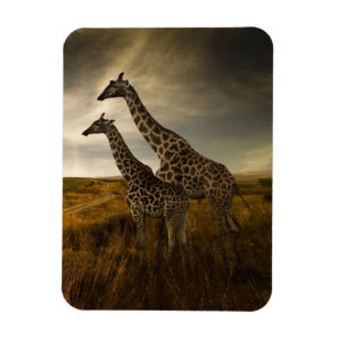 Magnet Flexible Girafes et le paysage