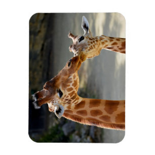 Magnet Flexible Giraffe et son bébé
