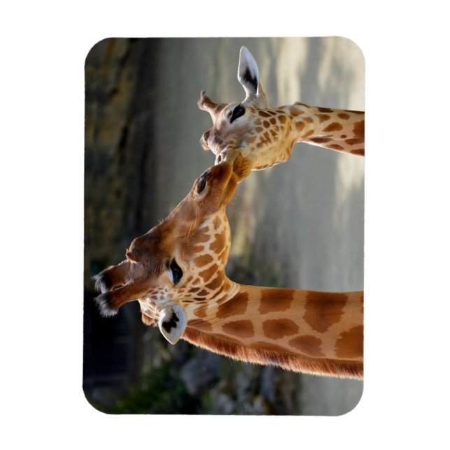 Magnet Flexible Giraffe et son bébé (Vertical)