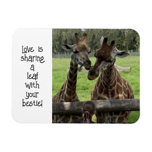 Magnet Flexible Giraffe Love...