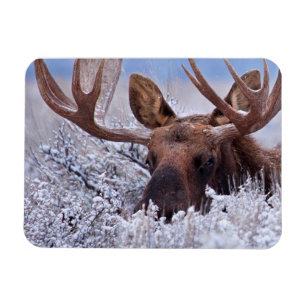 Magnet Flexible Glace et neige Grand Teton National Park, Wyomin