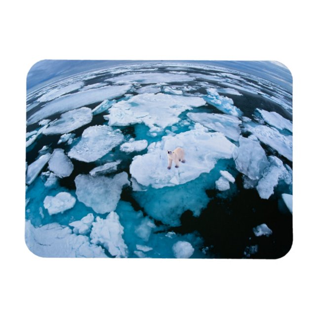 Magnet Flexible Glace et neige | Ours polaire, Océan Arctique, Sva (Horizontal)