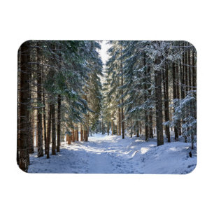 Magnet Flexible Glace et neige Tatra Mountains, Pologne