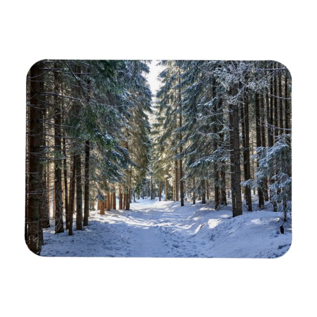 Magnet Flexible Glace et neige | Tatra Mountains, Pologne (Horizontal)