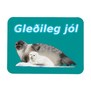 Magnet Flexible Gleðileg jól - Sceau annelé