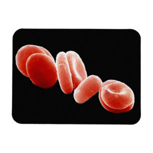 Magnet Flexible Globules rouges