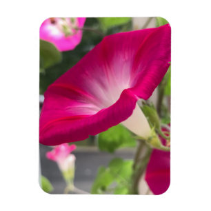 Magnet Flexible Gloriette Rouge Rubis
