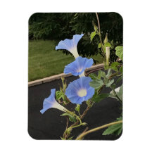 Glorieuse Cascade Bleue