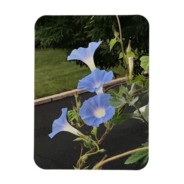 Magnet Flexible Glorieuse Cascade Bleue (Vertical)