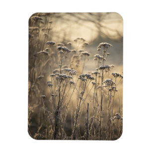 Magnet Flexible Golden Frosty Matin Flamand Campagne