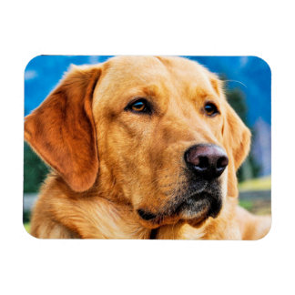 Magnet Flexible Golden Labrador Retriever