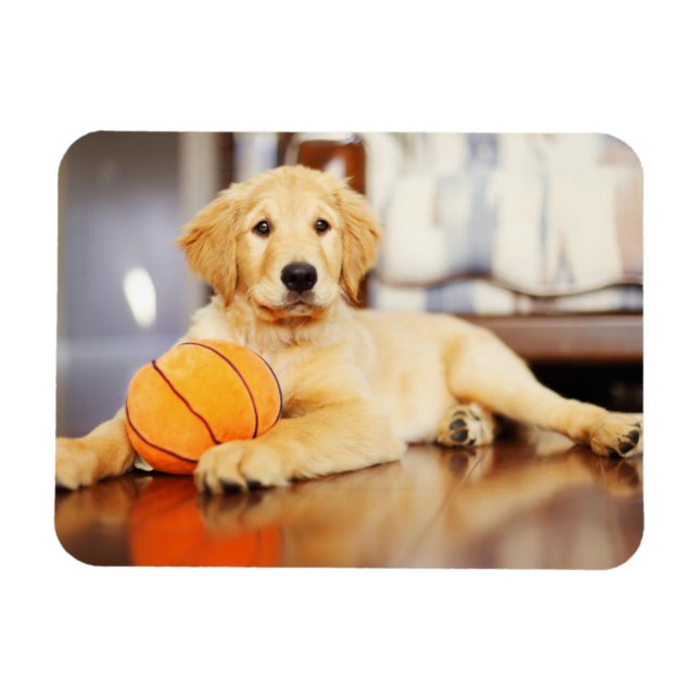 Magnet Flexible Golden Retriever (Horizontal)