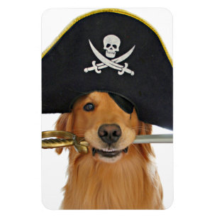 Magnet Flexible Golden Retriever Halloween Pirate