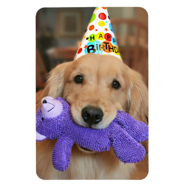 Magnet Flexible Golden Retriever with Happy Birthday Casquette and (Vertical)