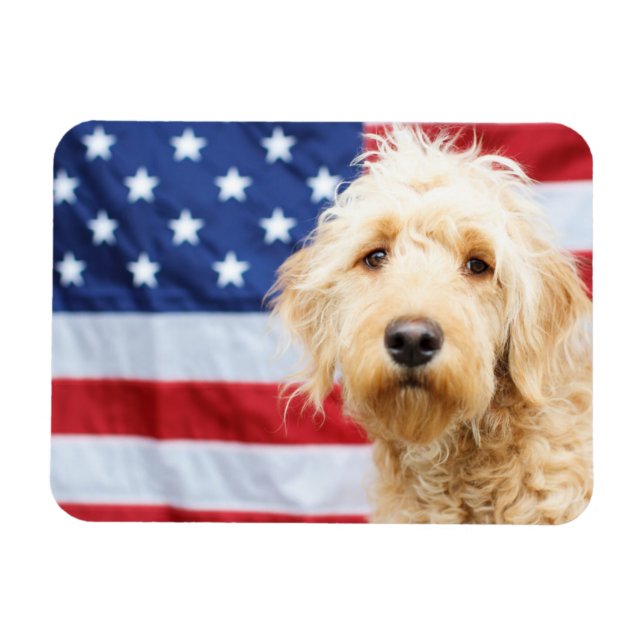 Magnet Flexible Goldendoodle avec drapeau américain (Horizontal)
