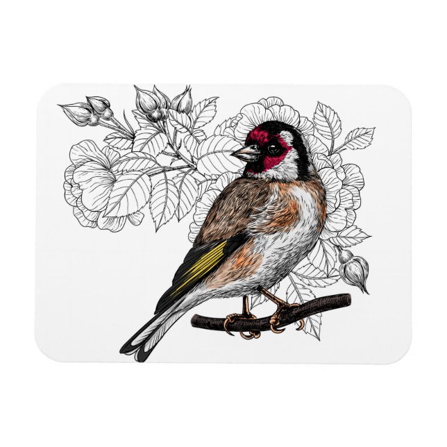 Magnet Flexible Goldfinch et rose (Horizontal)
