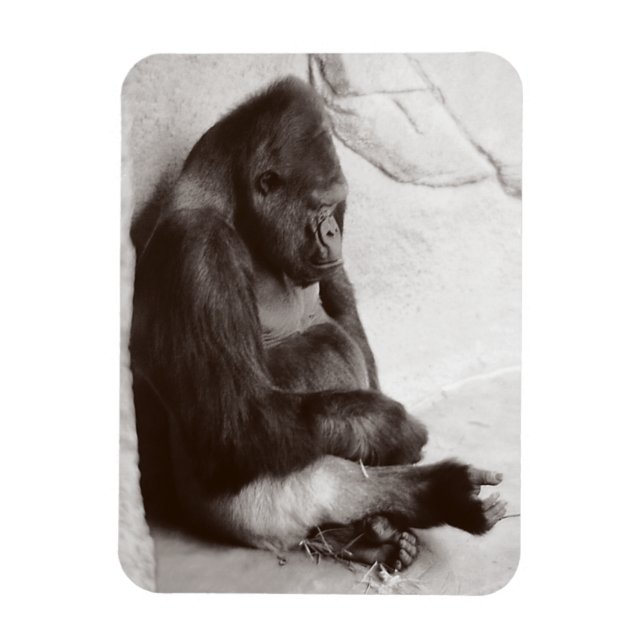 Magnet Flexible Gorilla Photographie Dormir (Vertical)