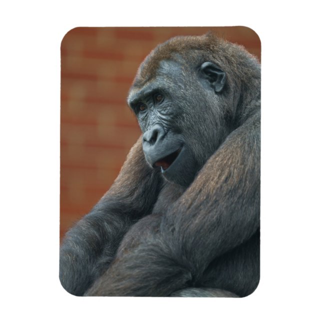 Magnet Flexible Gorilla Shufai (Vertical)