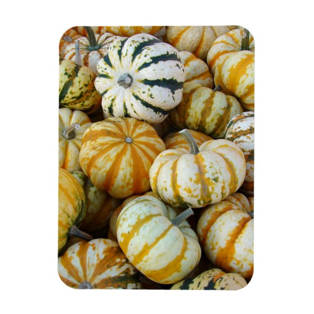 Magnet Flexible Gourtes de récolte d'automne orange et vert (Vertical)