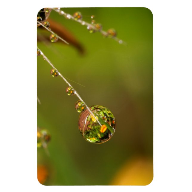 Magnet Flexible Goutte d'eau en gros plan (Vertical)