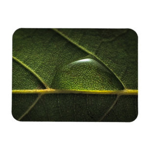 Magnet Flexible Gouttelettes de feuille