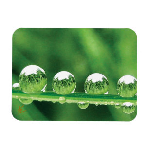Magnet Flexible Gouttes de rosée sur l'herbe verte Élégante nature