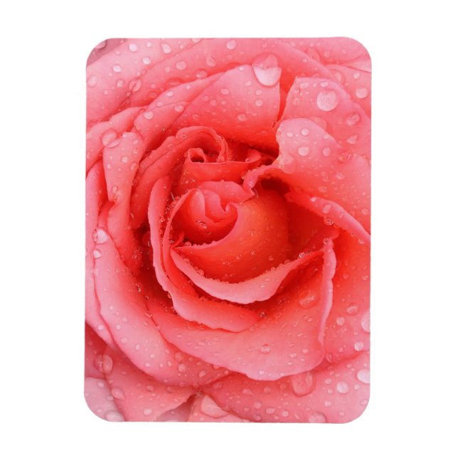 Magnet Flexible Gouttes d'eau de rose rouge romantique (Vertical)