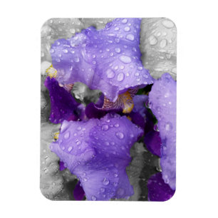 Magnet Flexible gouttes d'eau sur iris