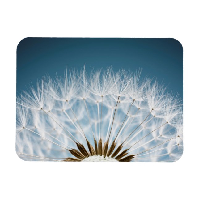 Magnet Flexible Graines de Dandelion (Horizontal)