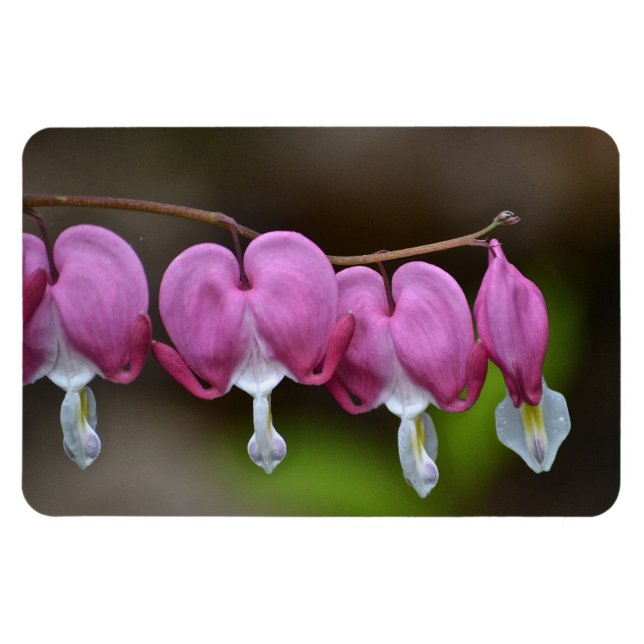 Magnet Flexible Grand aimant du coeur saignant (Horizontal)